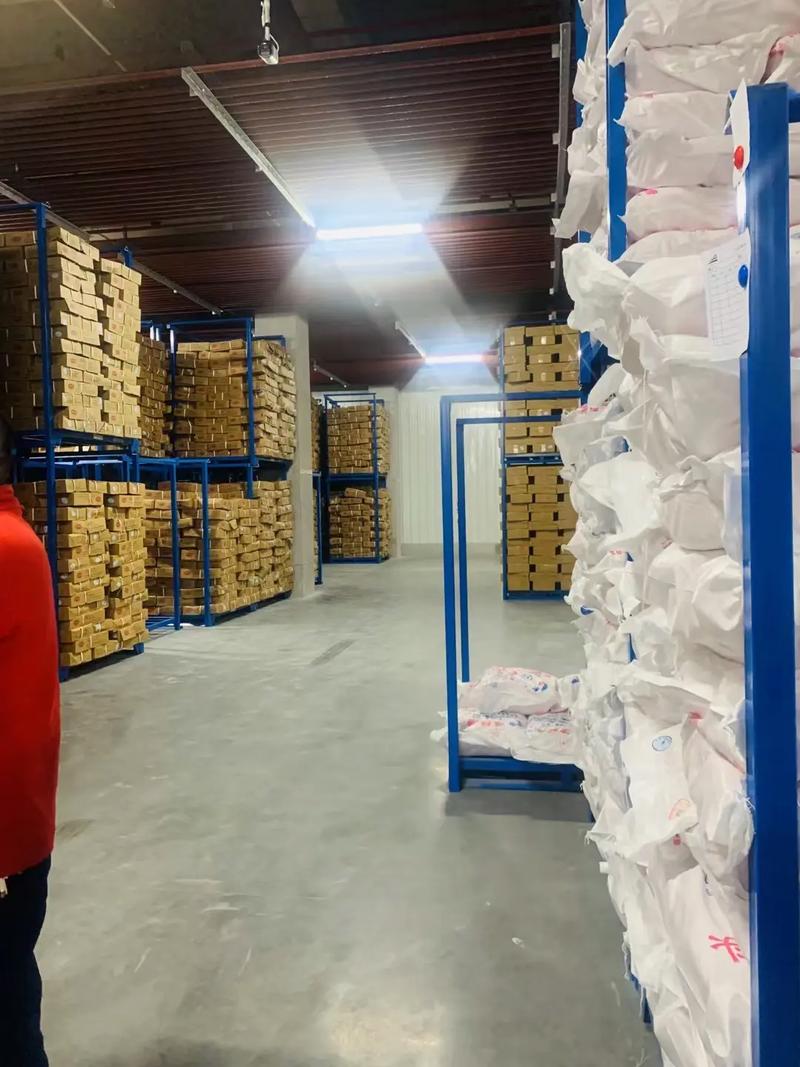衡水高端冷链产业园,集冻品交易,冷链物流,仓储服务,农产品加